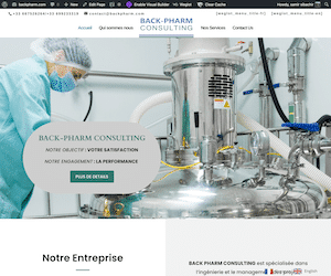 Websites design Websites design